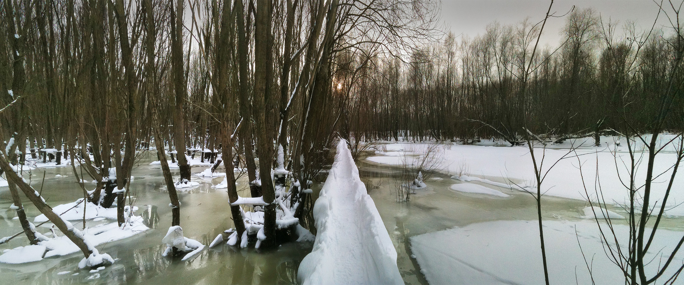 PANORAMA DIARY | Iphoneography blog | Winter path