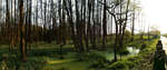 PANORAMA DIARY | Iphoneography blog | Trip to Obory