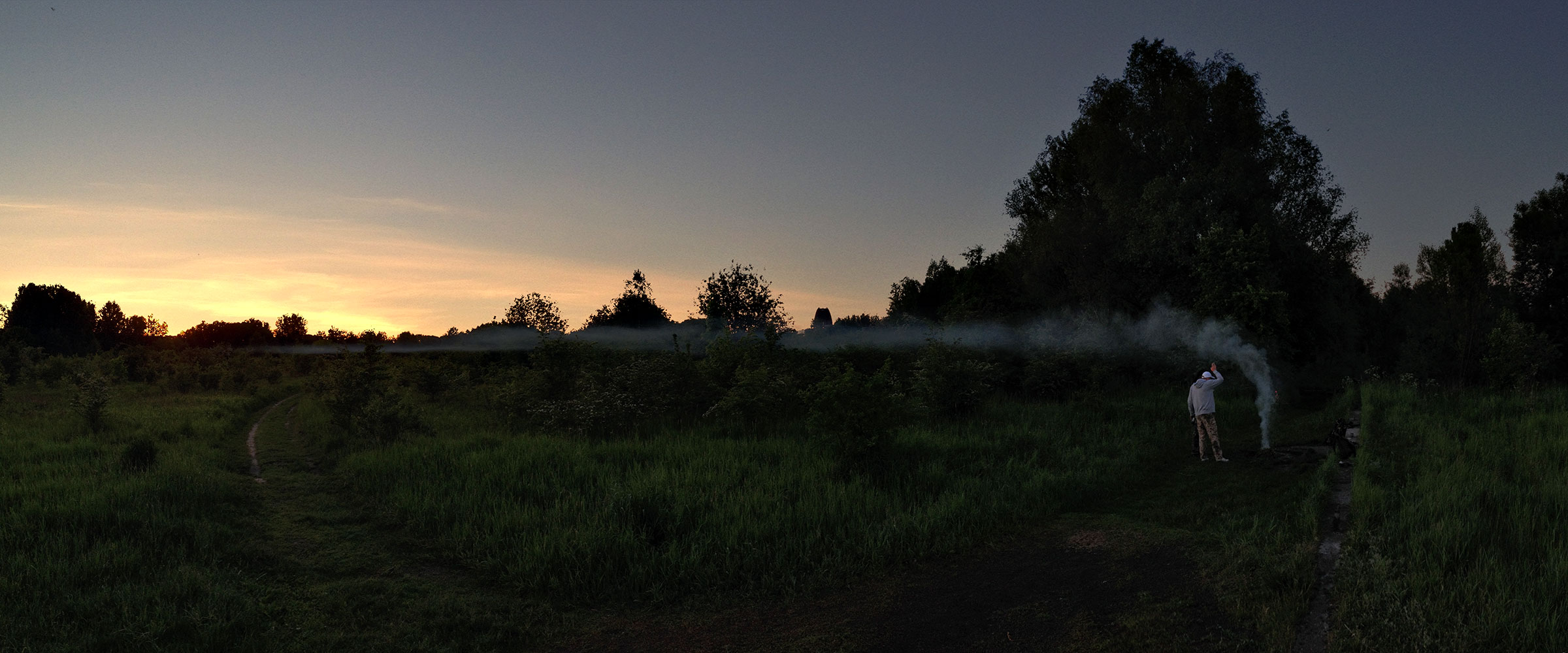 PANORAMA DIARY | Iphoneography blog | Seeding the mist