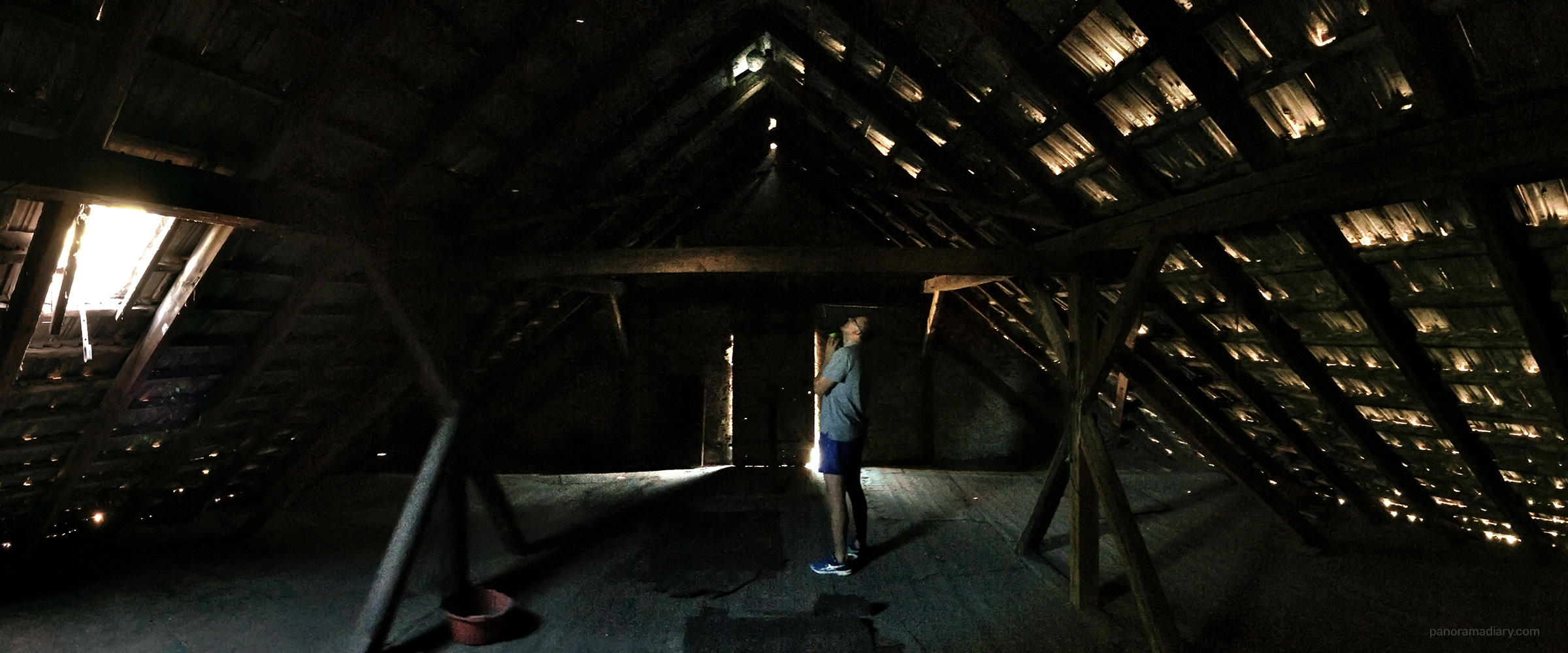 PANORAMA DIARY | Wasp nest under the roof